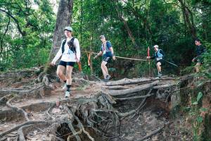 BIB: 
                            <button type="button" onclick="openModal(27721283)" class="btn btn-primary btn-sm float-right btn-popup" data-toggle="modal" data-target=".modal-high-quality">
                        <i class="fas fa-shopping-cart"></i> Add to Cart
                    </button>
                                            <button type="button" onclick="isThisMe(27721283, true)" class="btn btn-success btn-sm float-right btn-popup btn-isme hidden" data-toggle="tooltip" data-placement="bottom" title="นี่คือรูปของคุณใช่ไหม คลิกที่นี่เพื่อเอาเข้าอัลบั้ม">
                        <i class="fas fa-plus"></i> Add to album
                    </button>
                    <button type="button" onclick="isThisMe(27721283, false)" class="btn btn-warning btn-sm float-right btn-popup btn-isnotme hidden">
                        <i class="fas fa-ban"></i> Remove from album
                    </button>